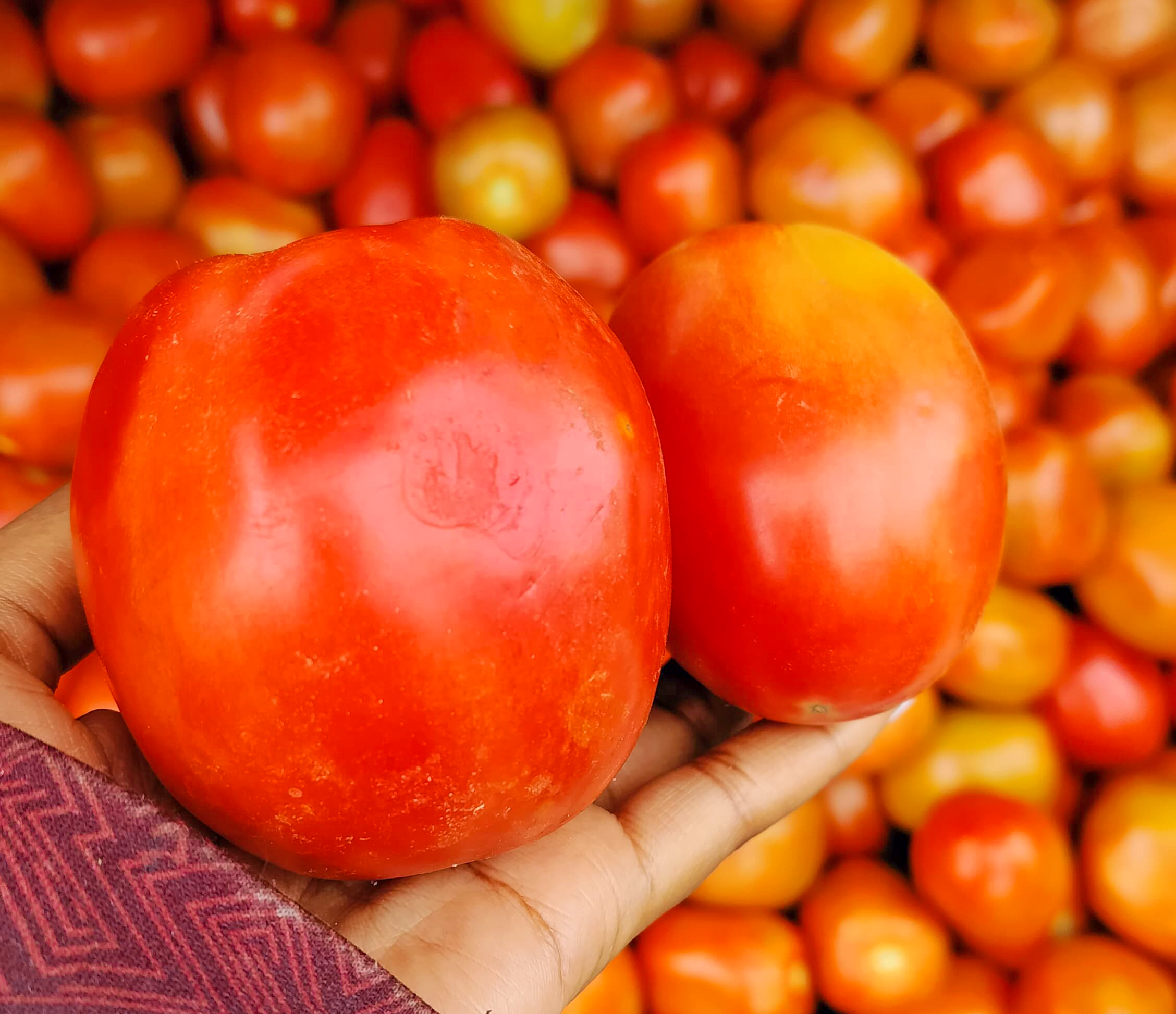 Fixing Africa’s Agriculture: A Path to Food Security